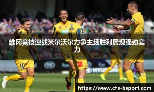 b体育